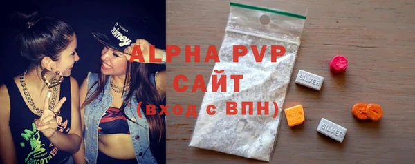 дживик Новозыбков