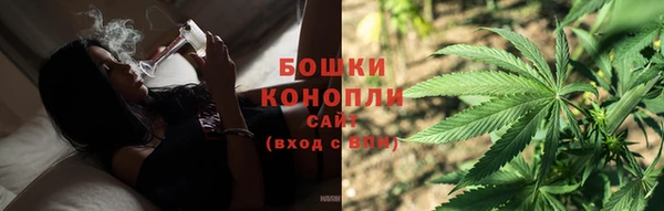 дживик Новозыбков