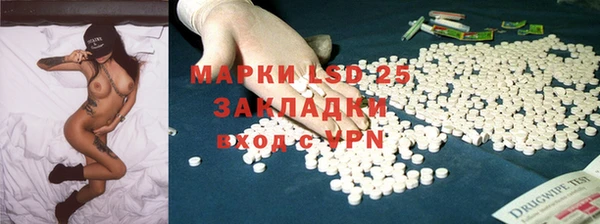 дживик Новозыбков